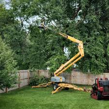 Best Tree Disease Treatment  in Sunnyside, WA